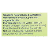 Sun And Earth Natural Laundry Detergent - Light Citrus - Case Of 4 - 100 Oz