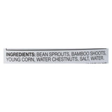 Ty Ling Mixed Chinese - Vegetables - Case Of 12 - 15 Oz.
