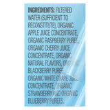 R.w. Knudsen - Sensible Sippers - Organic Berry - Case Of 5 - 4.23 Fl Oz.