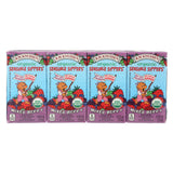 R.w. Knudsen - Sensible Sippers - Organic Berry - Case Of 5 - 4.23 Fl Oz.