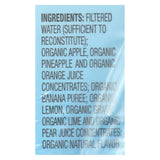 R.w. Knudsen - Sensible Sippers - Organic Fruit Punch - Case Of 5 - 4.23 Fl Oz.