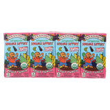 R.w. Knudsen - Sensible Sippers - Organic Fruit Punch - Case Of 5 - 4.23 Fl Oz.