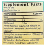 Herbs For Kids Echinacea Astragalus - 1 Fl Oz