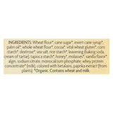 Nature's Path Organic Frosted Toaster Pastries - Lotta Chocolotta - Case Of 12 - 11 Oz.