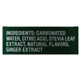 Zevia Soda - Zero Calorie - Ginger Ale - Tall Girls Can - 16 Oz - Case Of 12