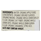 Earth's Best Organic Wholesome Breakfast Apple Raisin Pouch - Case Of 12 - 4 Oz.