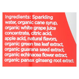 Guru Energy Drink Organic Energy Drink - Case Of 12 - 12 Fl Oz.