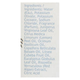 South Of France Hand Wash - Cote Dazur - 8 Oz - 1 Each