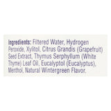 Heritage Store Mouthwash - Menthol - Case Of 1 - 16 Fl Oz.