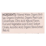 Treo Birch Water Beverage - Peach Mango - Case Of 12 - 16 Fl Oz.