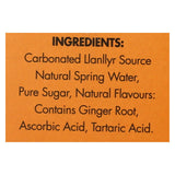 Llanllyr Source Water Ginger Beer - Glass - Case Of 6 - 4-6.8 Fl Oz