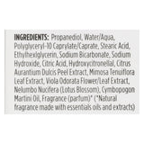 Crystal Deodorants - Invisible Solid Deodorant - Vanilla Jasmine - 2.5 Oz.