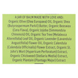 Earth Mama - Organic Diaper Balm - 2 Oz.